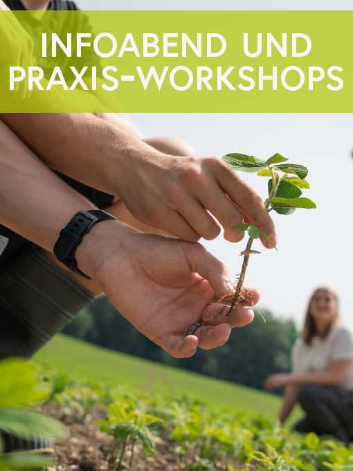 Infoabend und Praxisworkshop 2026