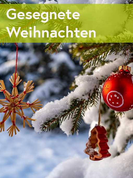 Öffnungszeiten Weihnachten