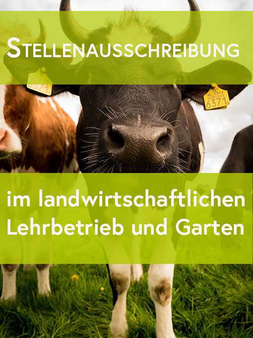 Stellenausschreibung für KV-Bedienstete/n in unserem landwirtschaftlichen Lehrbetrieb und Garten