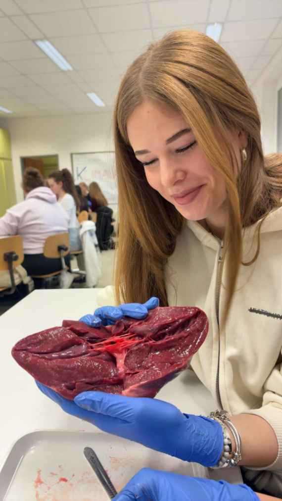 Sezieren im Biologieunterricht
