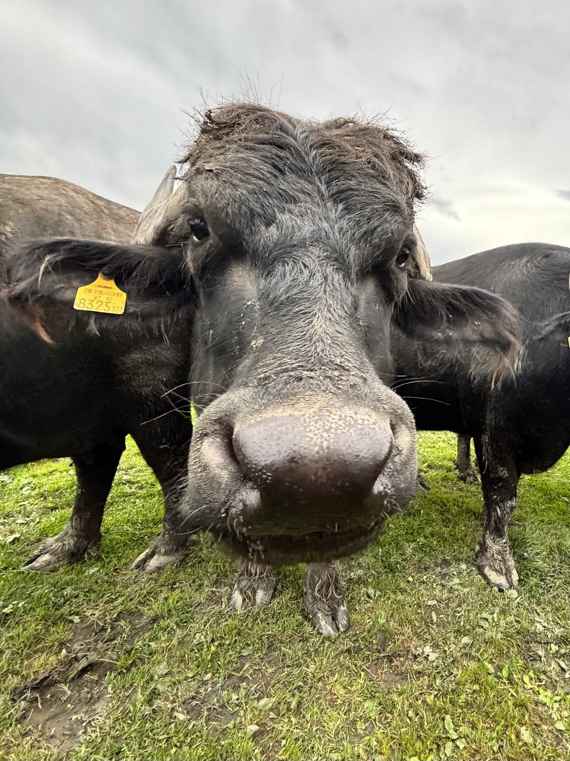 Von Vorarlberg bis München – 4PMR unterwegs