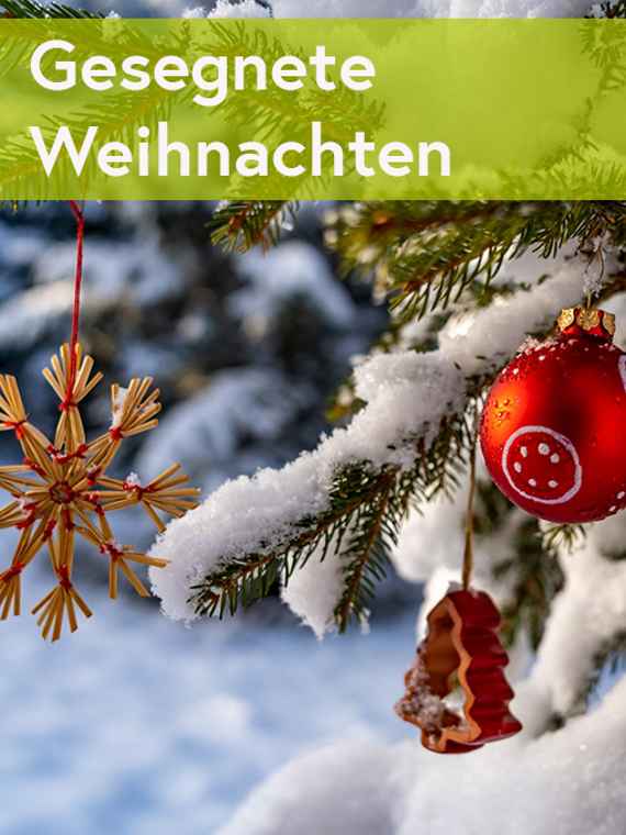 Öffnungszeiten Weihnachten
