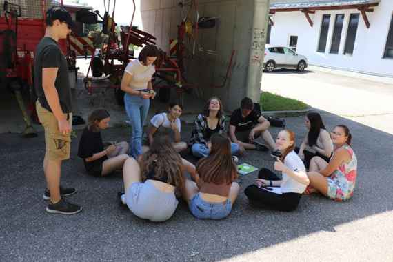 Schülerinnen und Schüler bestimmen Wildpflanzen