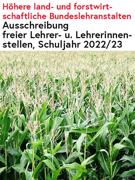 Stellenausschreibung Höhere land- und forstwirtschaftliche Bundeslehranstalten