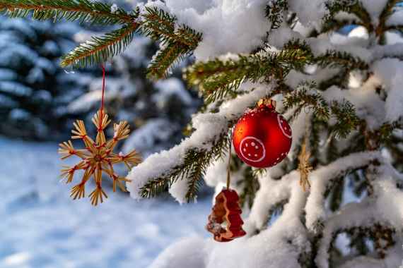 Weihnachtsglückwünsche der HBLA Pitzelstätten