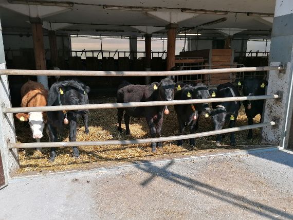 Exkursion zum landwirtschaftlichen Forschungszentrum Gumpenstein