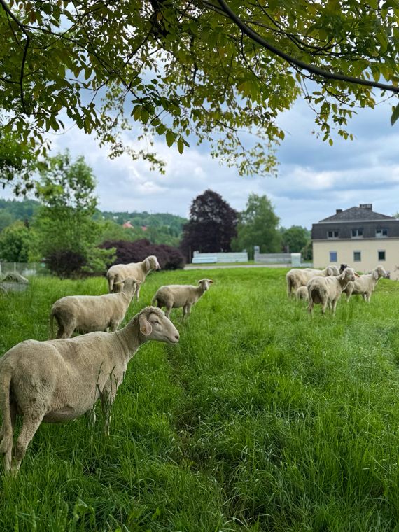 Biodiversitätsworkshop 3IUM