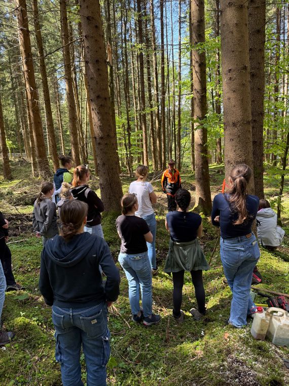 FAST Ossiach Wald und Wirtschaft