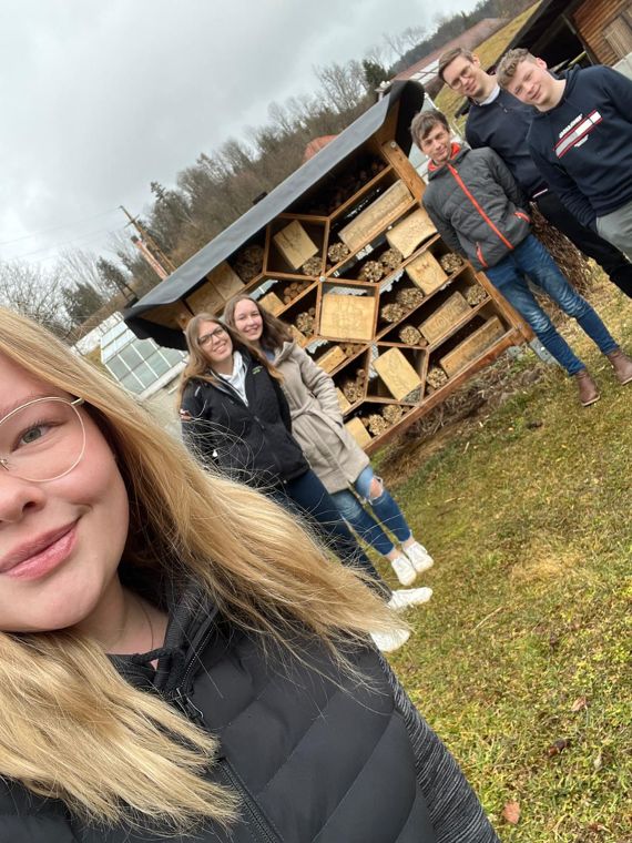 Renovierung Bienenhotel