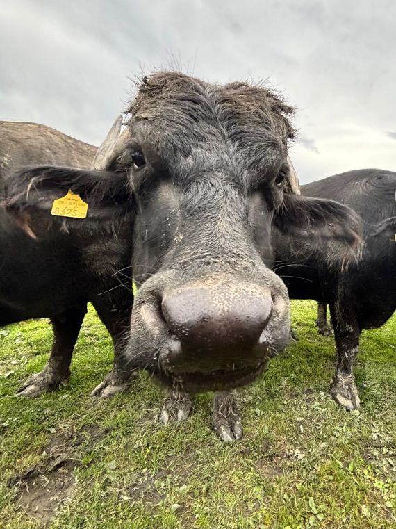 Von Vorarlberg bis München – 4PMR unterwegs