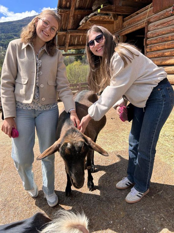 Von Schafbetrieb bis Eselpark - 5IUM