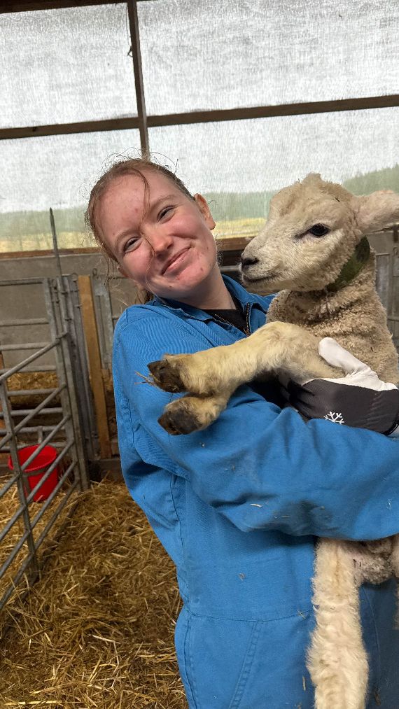 EU-Mobilitäten der 4IUM