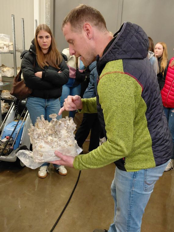 Gemüsegroßhandel Robitsch