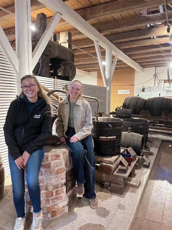 Workshop bei den Mostbarkeiten im Lavanttal