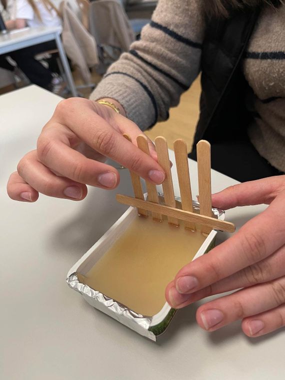 Der DNA auf der Spur -Genetischer Fingerabdruck