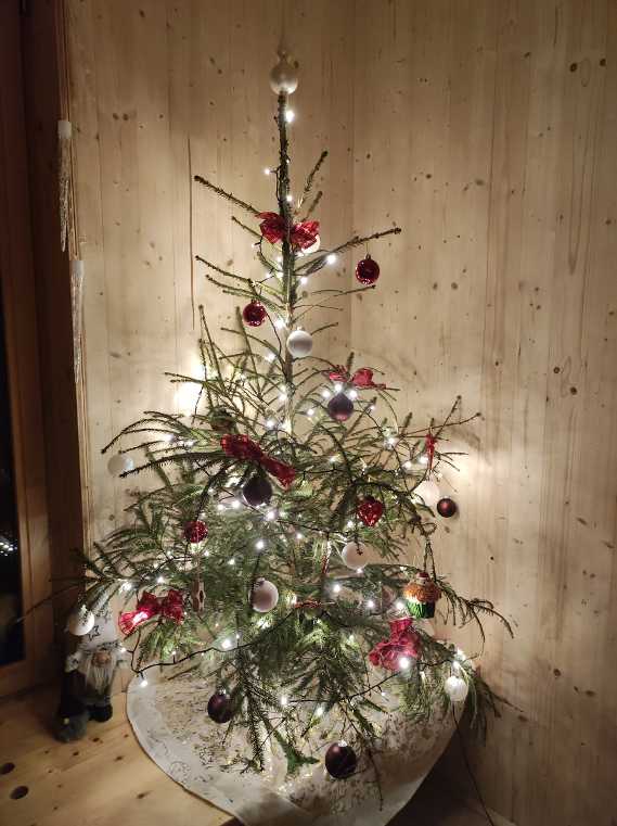 Schülerinnen und Schüler bei der Preisverleihung der Weihnachtschallenge. 