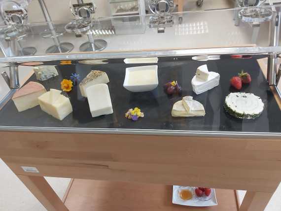 Käsekenner