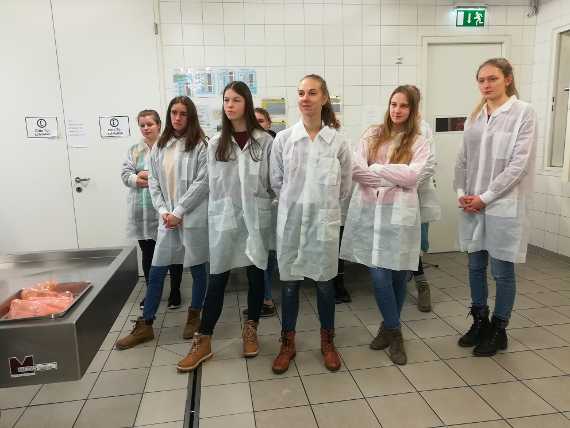 Schülerinnen und Schüler auf Exkursion im Institut für veterinärmedizinische Untersuchungen
