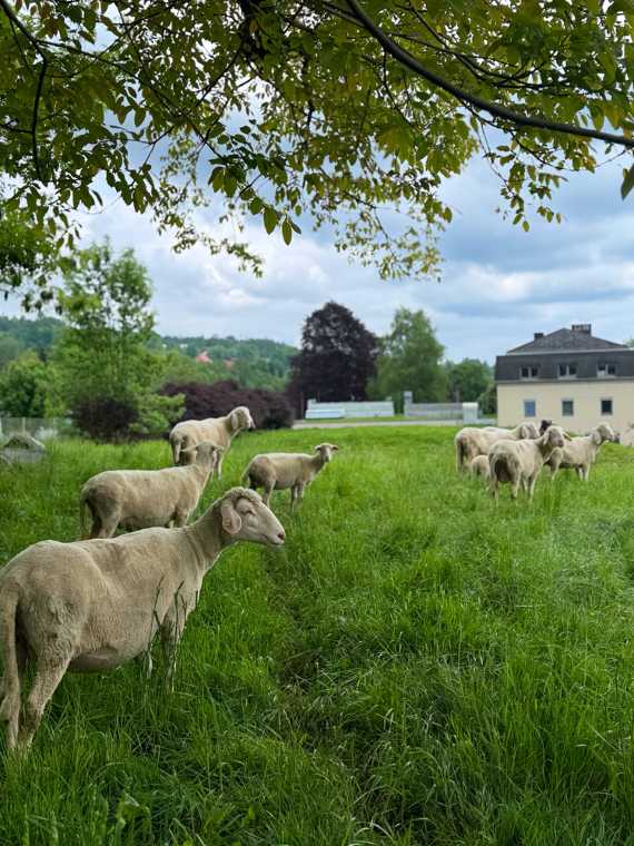 Biodiversitätsworkshop 3IUM