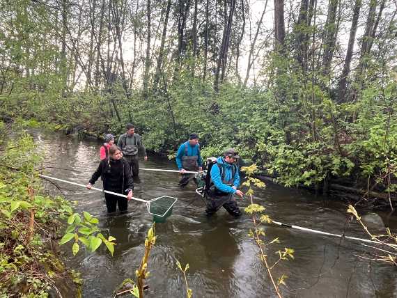 Fischbestandserhebung Wölfnitzbach