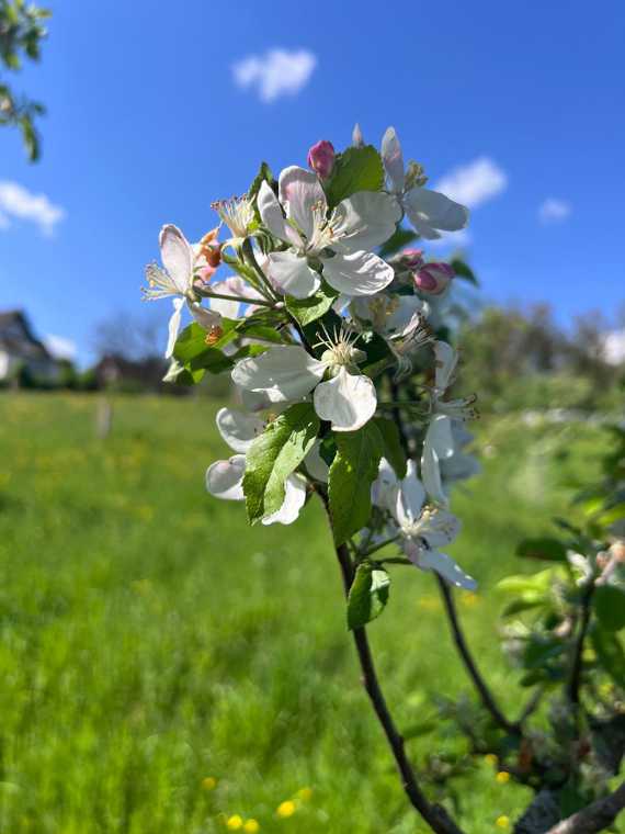 Biodiversität