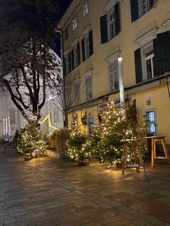 Exkursion in die Steiermark