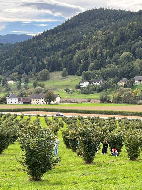 Gartenbau-Exkursion des 5IUM 2025