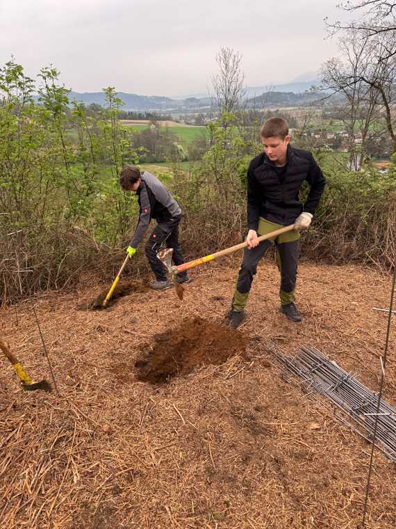 Klimafitter Wald an der HBLA Pitzelstätten