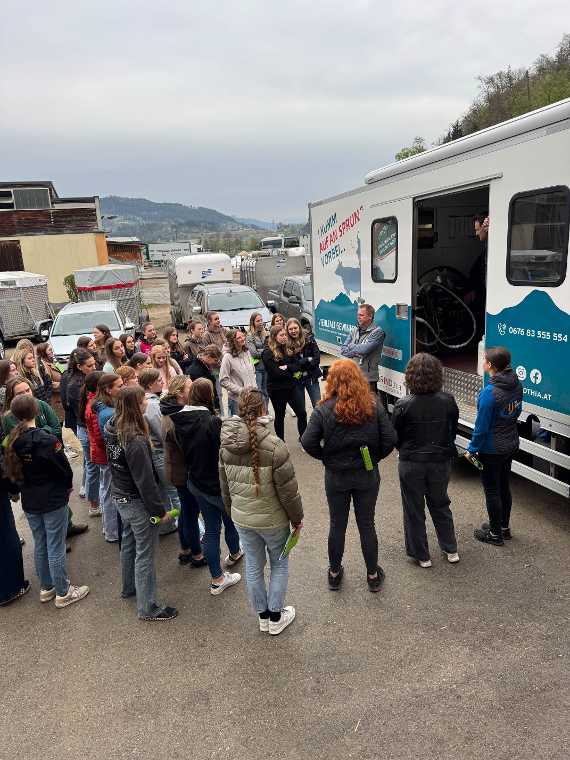 Zuchtrindversteigerung in St. Donat