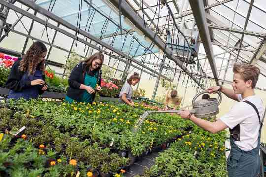 Schülerinnen und Schüler im fachpraktischen Unterricht Gartenbau