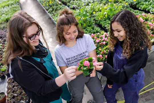 Schülerinnen und Schüler im fachpraktischen Unterricht Gartenbau