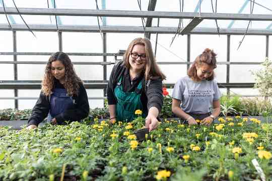 Schülerinnen und Schüler im fachpraktischen Unterricht Gartenbau