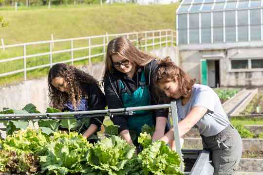 Schülerinnen und Schüler im fachpraktischen Unterricht Gartenbau