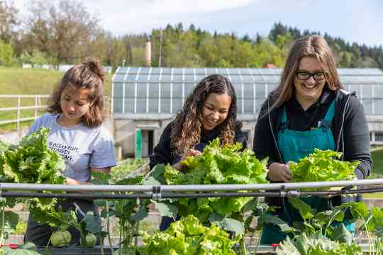 Schülerinnen und Schüler im fachpraktischen Unterricht Gartenbau