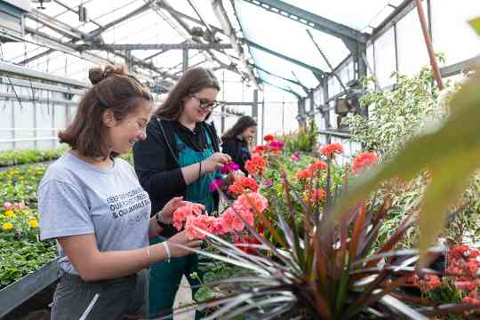 Schülerinnen und Schüler im fachpraktischen Unterricht Gartenbau