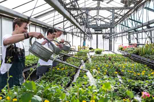 Schülerinnen und Schüler im fachpraktischen Unterricht Gartenbau