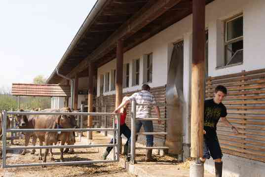 Lehrbetrieb der HBLA Pitzelstätten