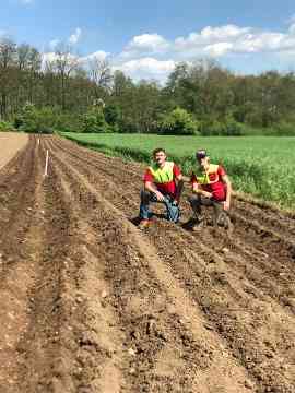 Schüler beim Setzen und Ernten der Kartoffeln