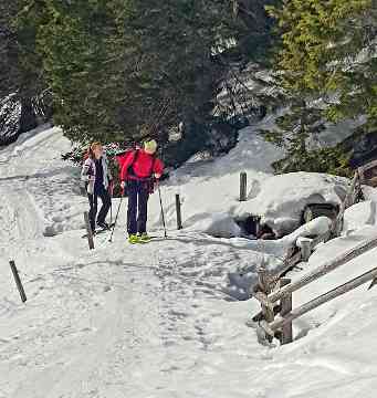 Bewegung und Sport in der Winterlandschaft