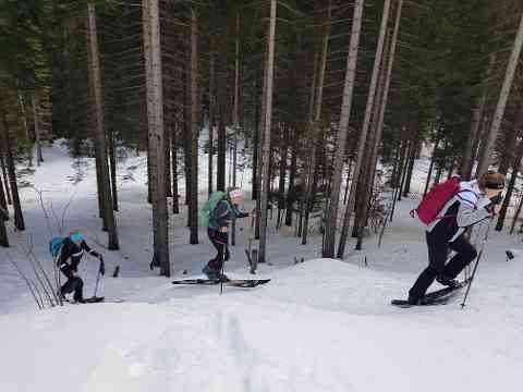 Bewegung und Sport in der Winterlandschaft