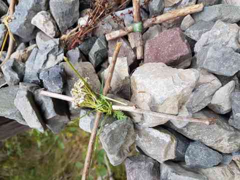 Bewegung und Sport in der Natur