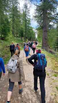 Schüler wandern auf die Hochrindl