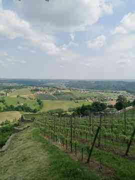 Exkursion 2PMR Steiermark und Burgenland