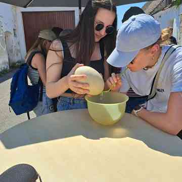 Exkursion 2PMR Steiermark und Burgenland