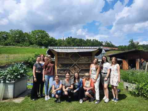 Insektenhotel HBLA Pitzelstätten