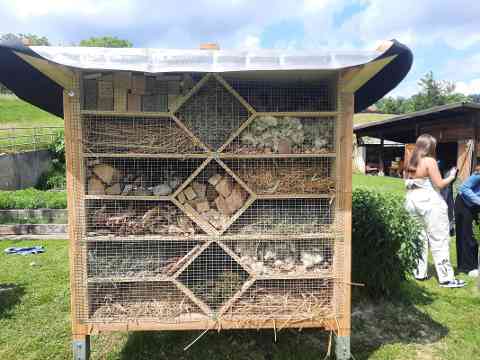 Insektenhotel HBLA Pitzelstätten