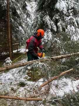 Forsttechniktage an der FAST Ossiach