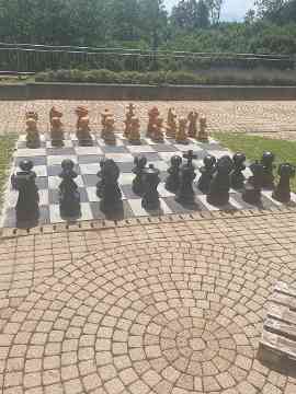 Schach dem König
