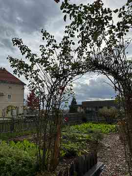 Tag der offenen Tür an der HBLA Pitzelsstätten