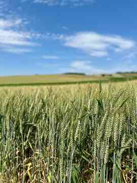 Zwischen Forschung, Landwirtschaft und Kultur – eine Wien-Woche voller Eindrücke